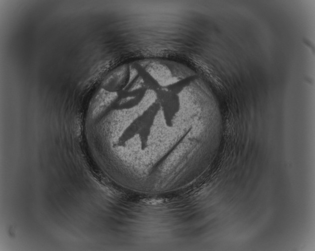 X0000091360687200709071303