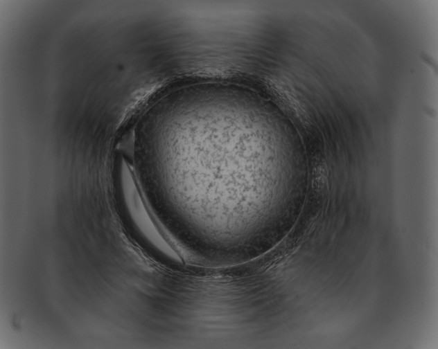 X0000091360688200709071303