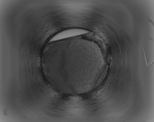 X0000091360689200709071303