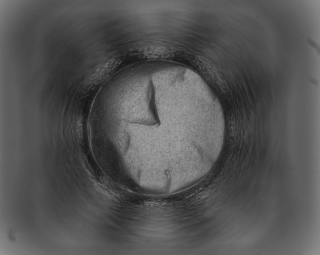 X0000091360690200709071303