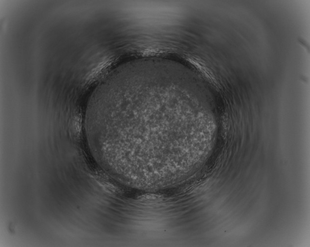 X0000091360691200709071303