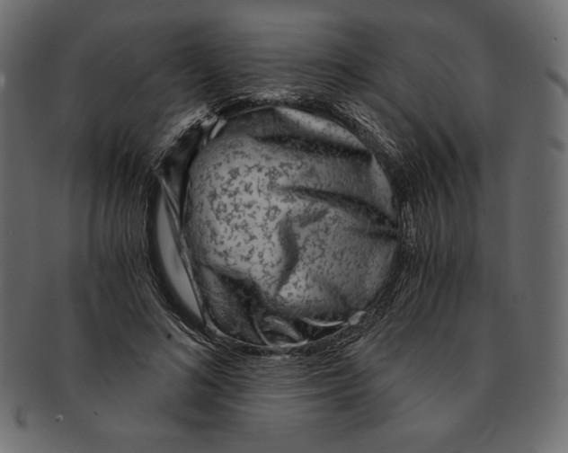 X0000091360692200709071303