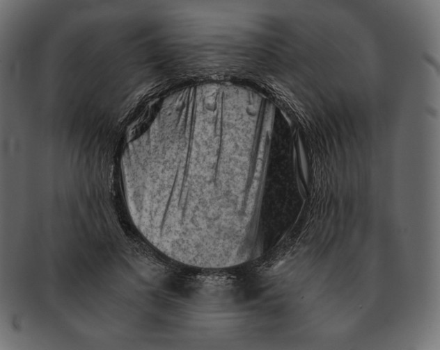 X0000091360693200709071303