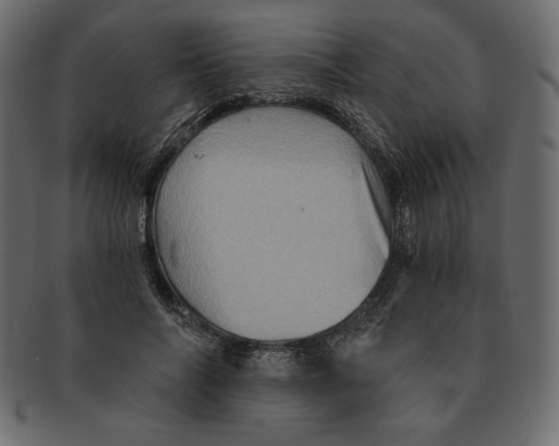 X0000091360694200709071303