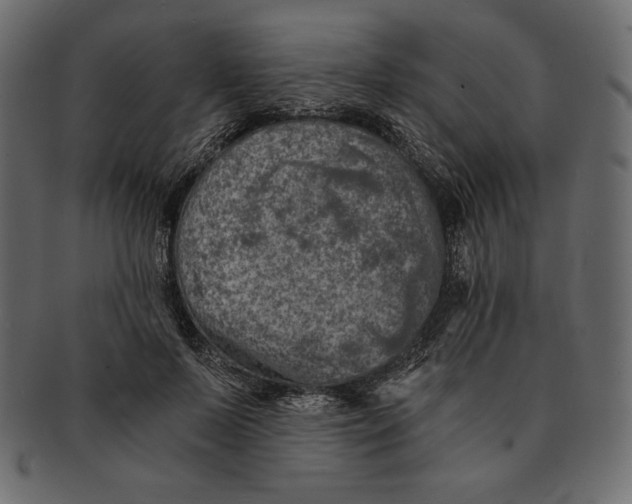 X0000091360695200709071303