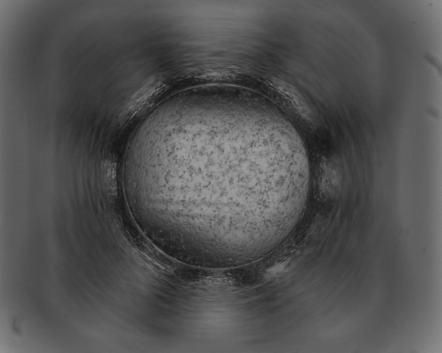 X0000091360696200709071303