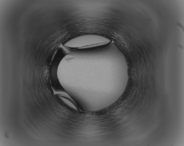 X0000091360697200709071303