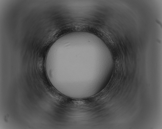 X0000091360698200709071303