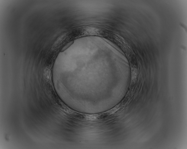 X0000091360701200709071303