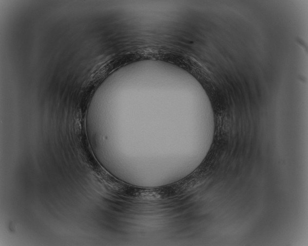 X0000091360702200709071303