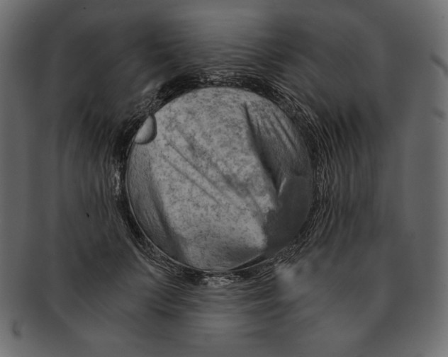 X0000091360703200709071303