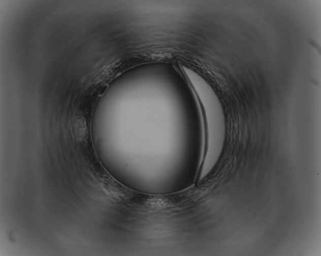 X0000091360704200709071303