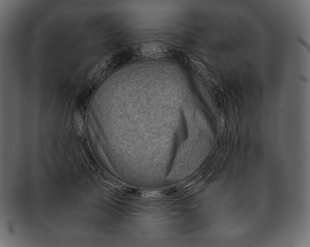 X0000091360705200709071303