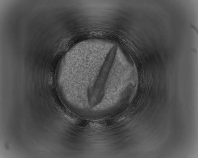 X0000091360706200709071303