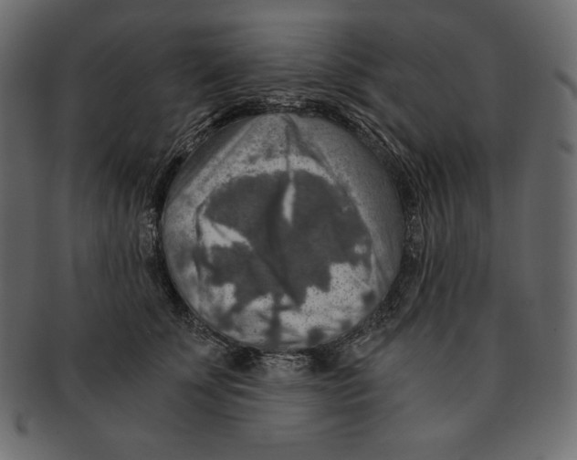 X0000091360707200709071303