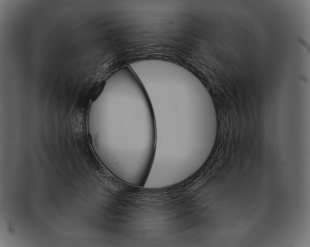 X0000091360708200709071303