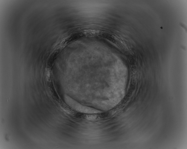 X0000091360709200709071303