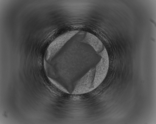 X0000091360710200709071303