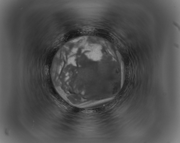 X0000091360711200709071303