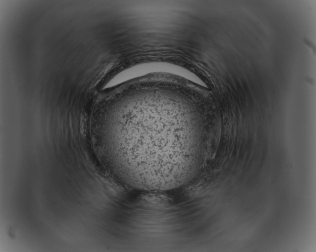 X0000091360712200709071303