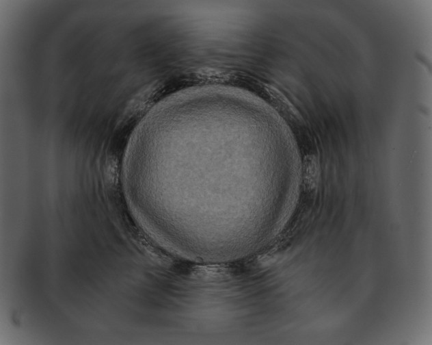 X0000091360713200709071303