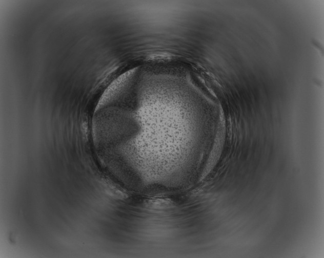 X0000091360716200709071303