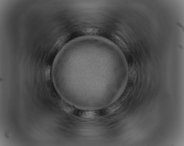 X0000091360717200709071303