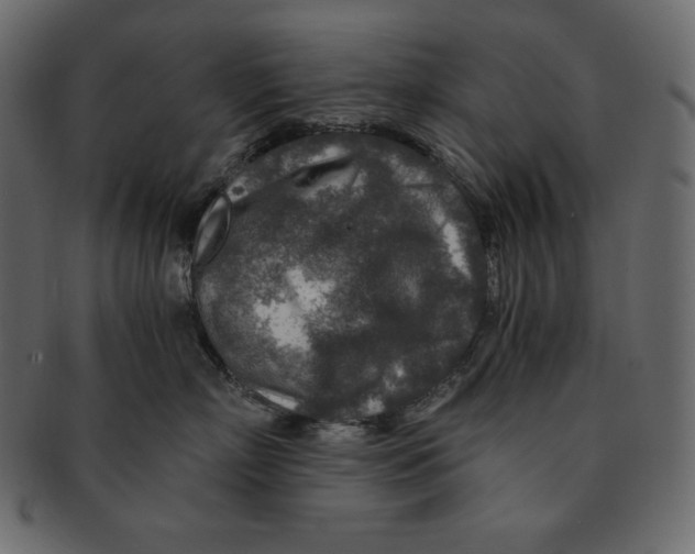 X0000091360718200709071303