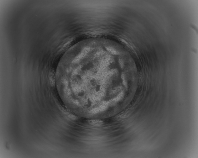 X0000091360719200709071303