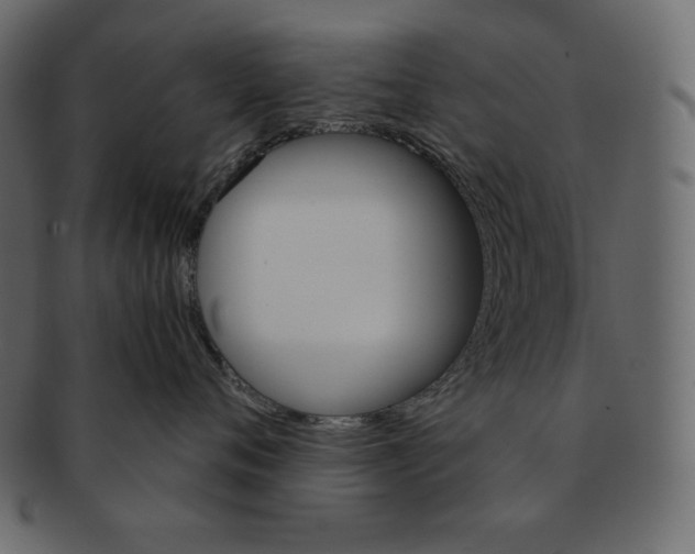 X0000091360720200709071303