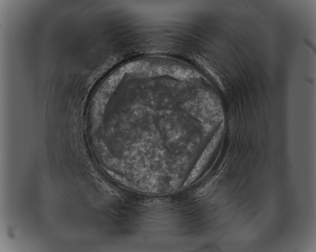 X0000091360721200709071302