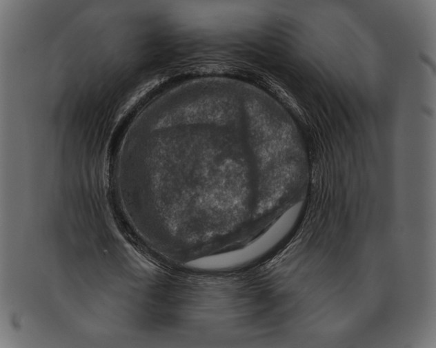 X0000091360722200709071302