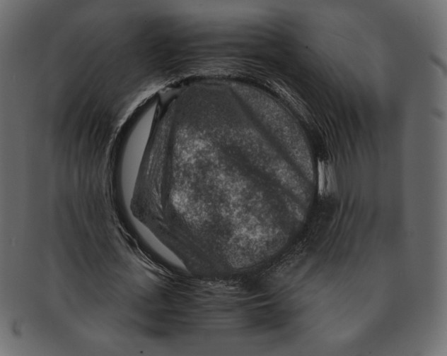 X0000091360723200709071302