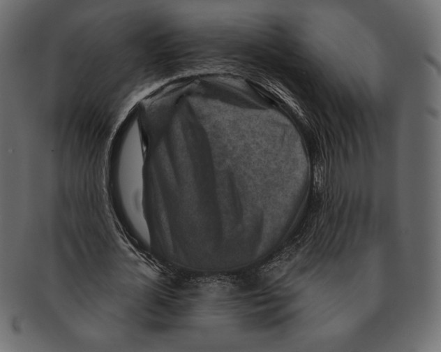 X0000091360724200709071302