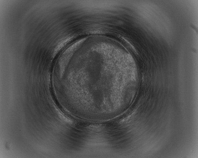 X0000091360725200709071302