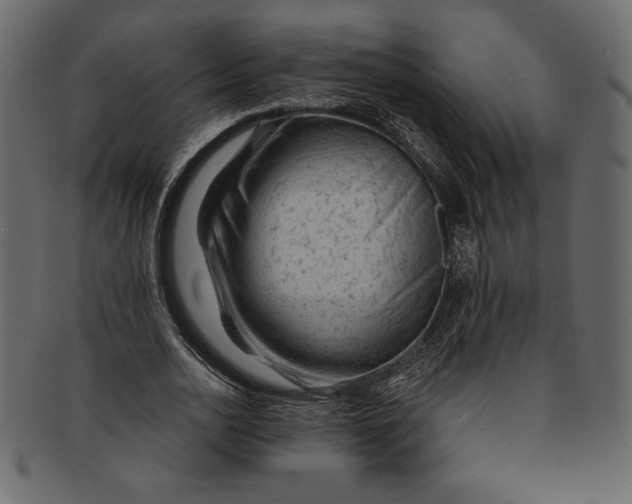 X0000091360726200709071302