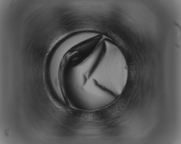 X0000091360728200709071302