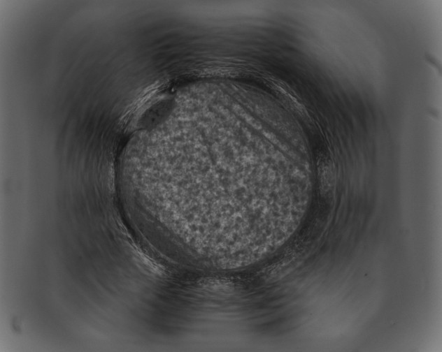 X0000091360729200709071302