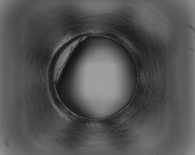 X0000091360730200709071302