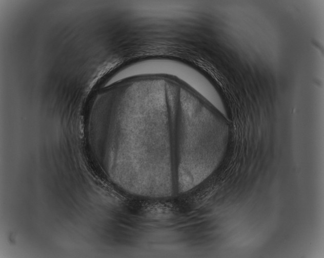 X0000091360731200709071302