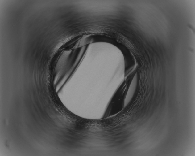 X0000091360732200709071302