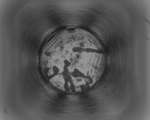 X0000091360733200709071302