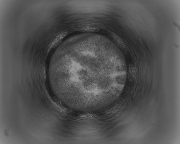 X0000091360734200709071302