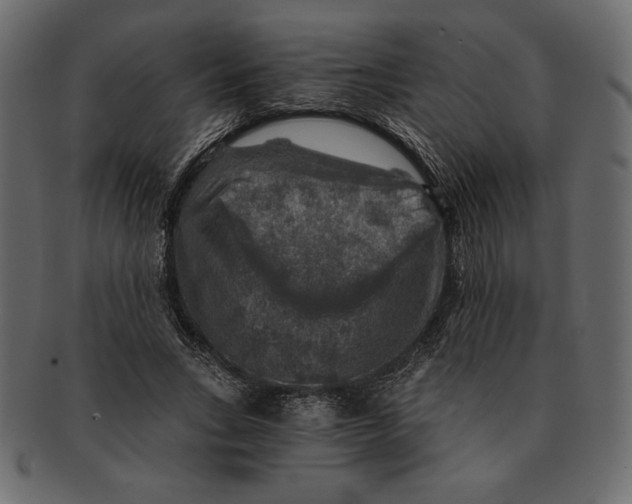 X0000091360735200709071302