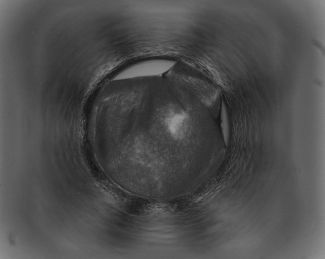 X0000091360736200709071302