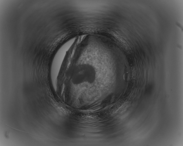 X0000091360737200709071302