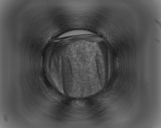 X0000091360739200709071302