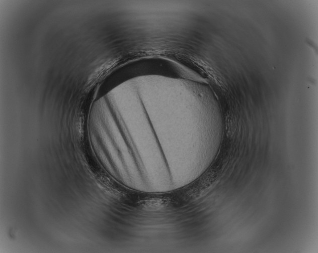 X0000091360740200709071302