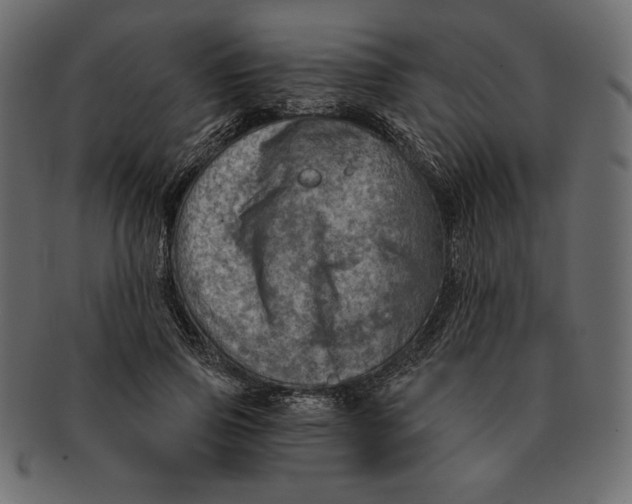 X0000091360741200709071302