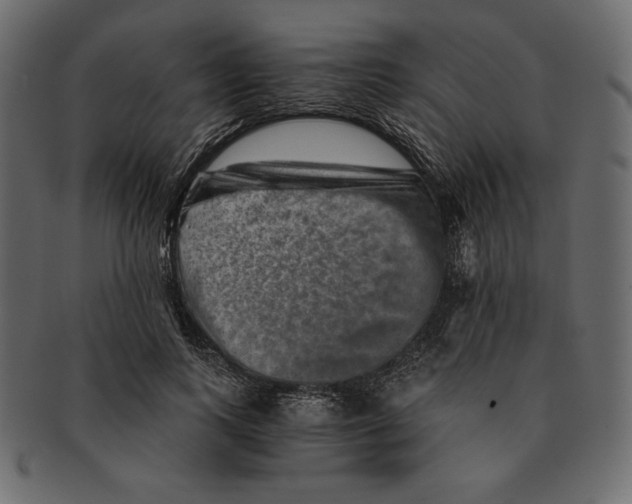 X0000091360743200709071302